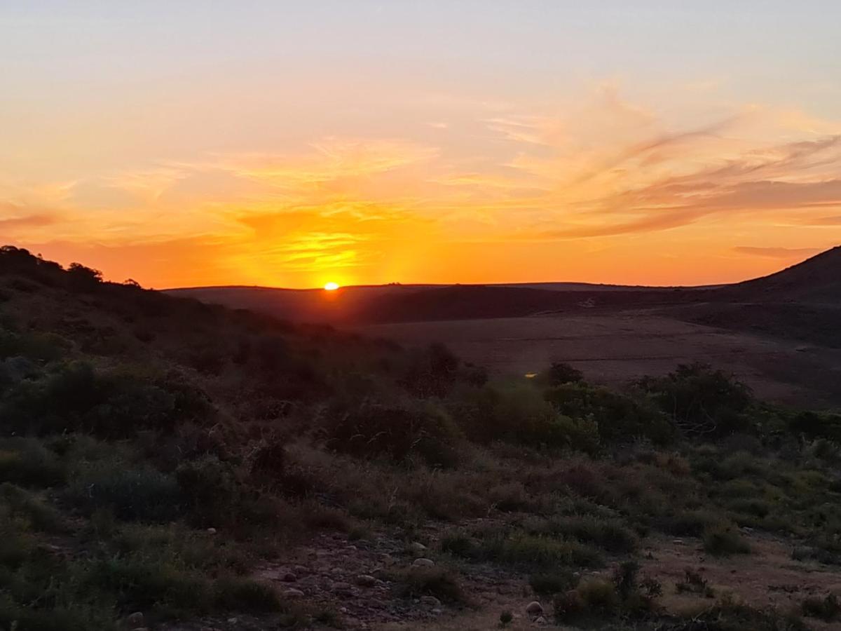 Indalu Game Reserve Boggomsbaai Экстерьер фото