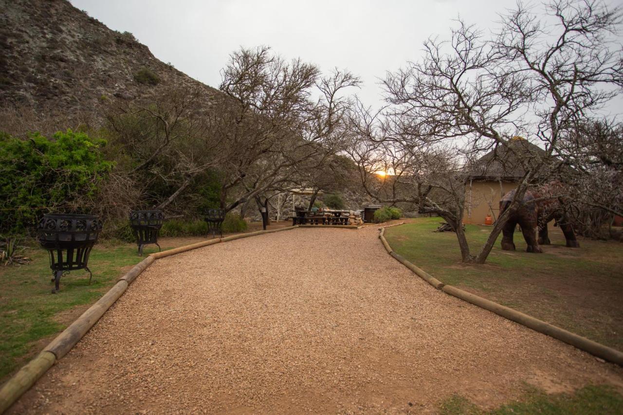 Indalu Game Reserve Boggomsbaai Экстерьер фото
