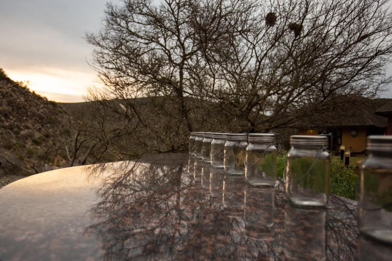 Indalu Game Reserve Boggomsbaai Экстерьер фото